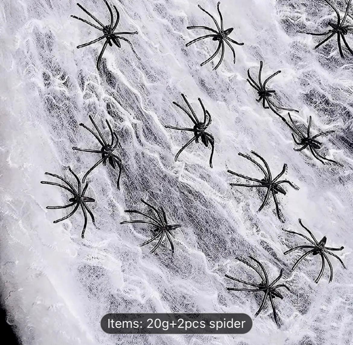 Spiderweb & Spider Decoration
