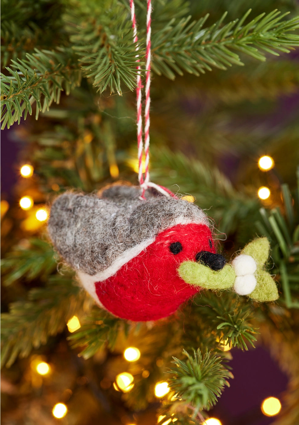 Felt Carry Robin Decoration